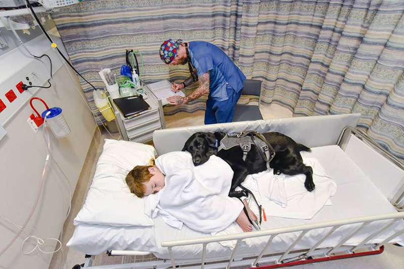 dog goes to surgery with boy