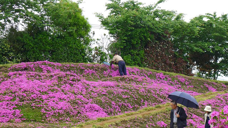 husband plants flowers for blind wife