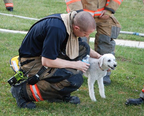puppy smiling fire rescue