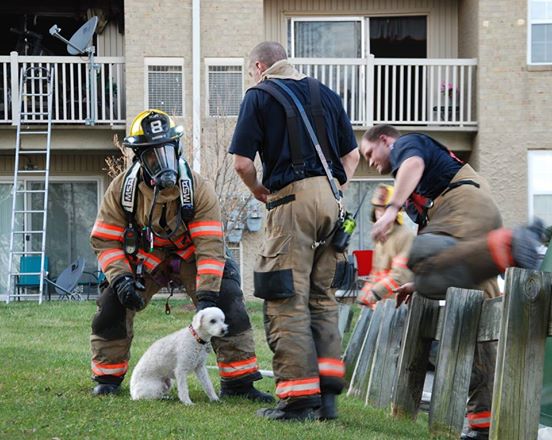 puppy smiling fire rescue