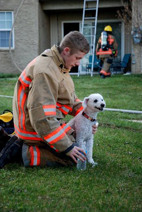 puppy smiling fire rescue