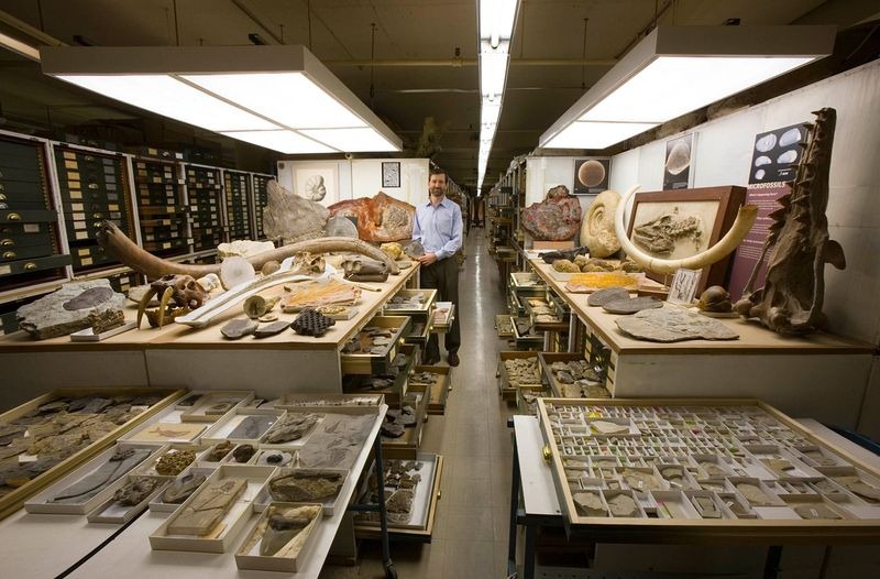 Take A Closer Look At All The Specimen Collections Inside The Museum of