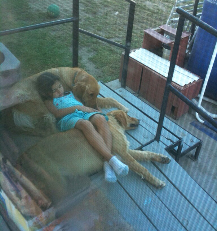 little girl sleeping on two dogs