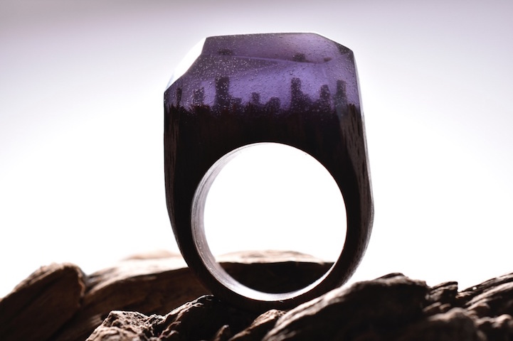 wood rings beautiful landscapes