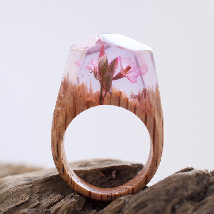 wood rings beautiful landscapes