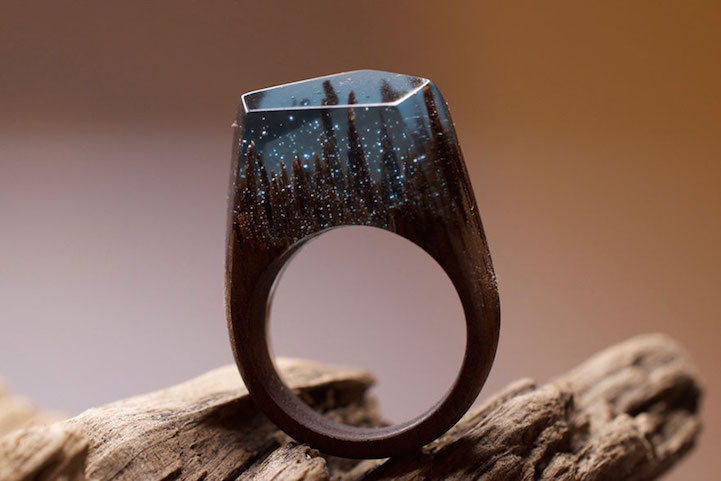 wood rings beautiful landscapes