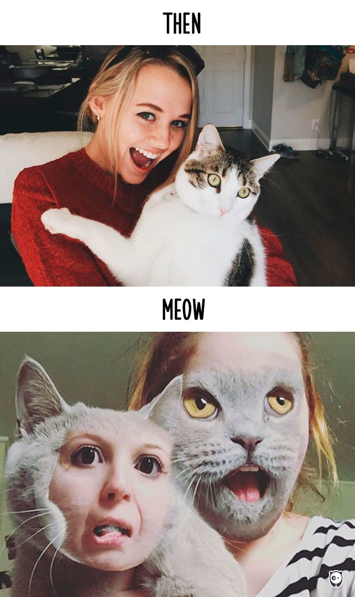 cats then and now technology