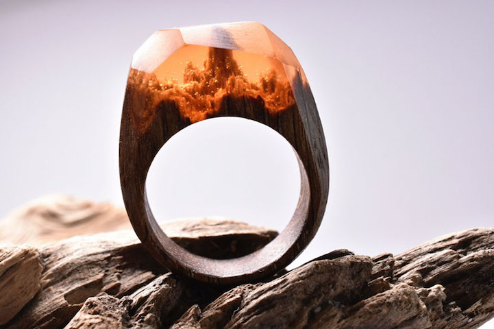 wood rings beautiful landscapes