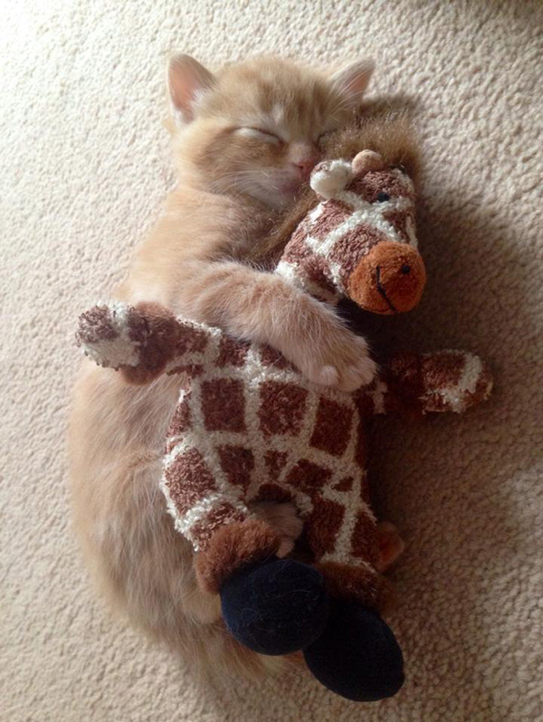 snuggle buddies stuffed animals