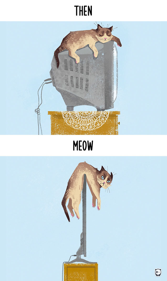 cats then and now technology