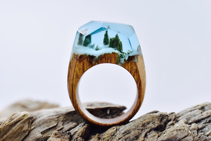 wood rings beautiful landscapes