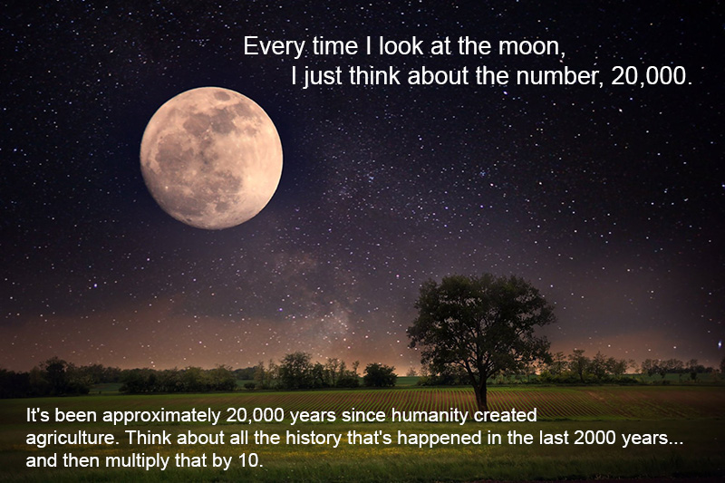 every time I look at the moon 20000