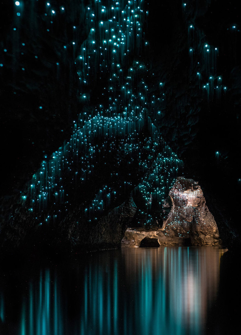 glow worm cave