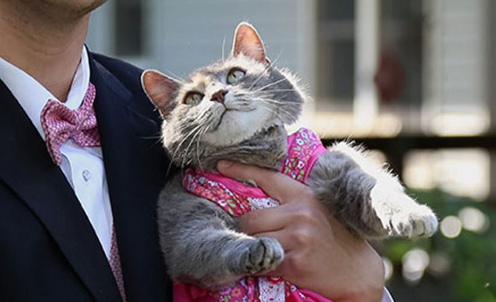 guy takes his cat to prom