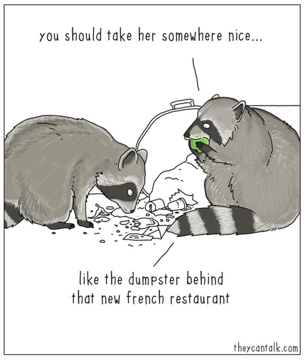 funny comics of animals talking