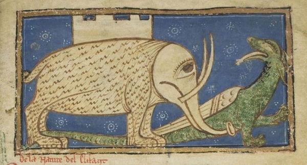 elephant drawings middle ages