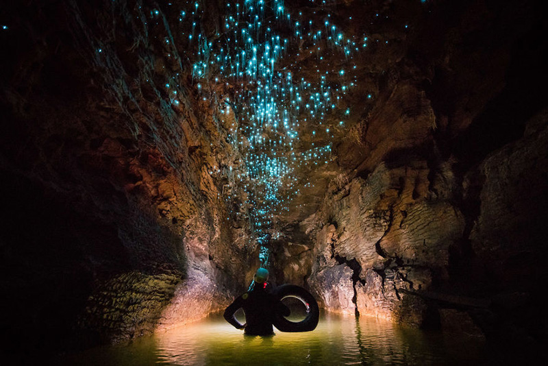 glow worm cave