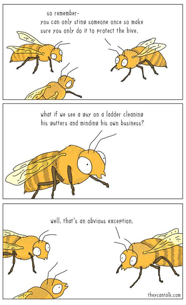 funny comics of animals talking