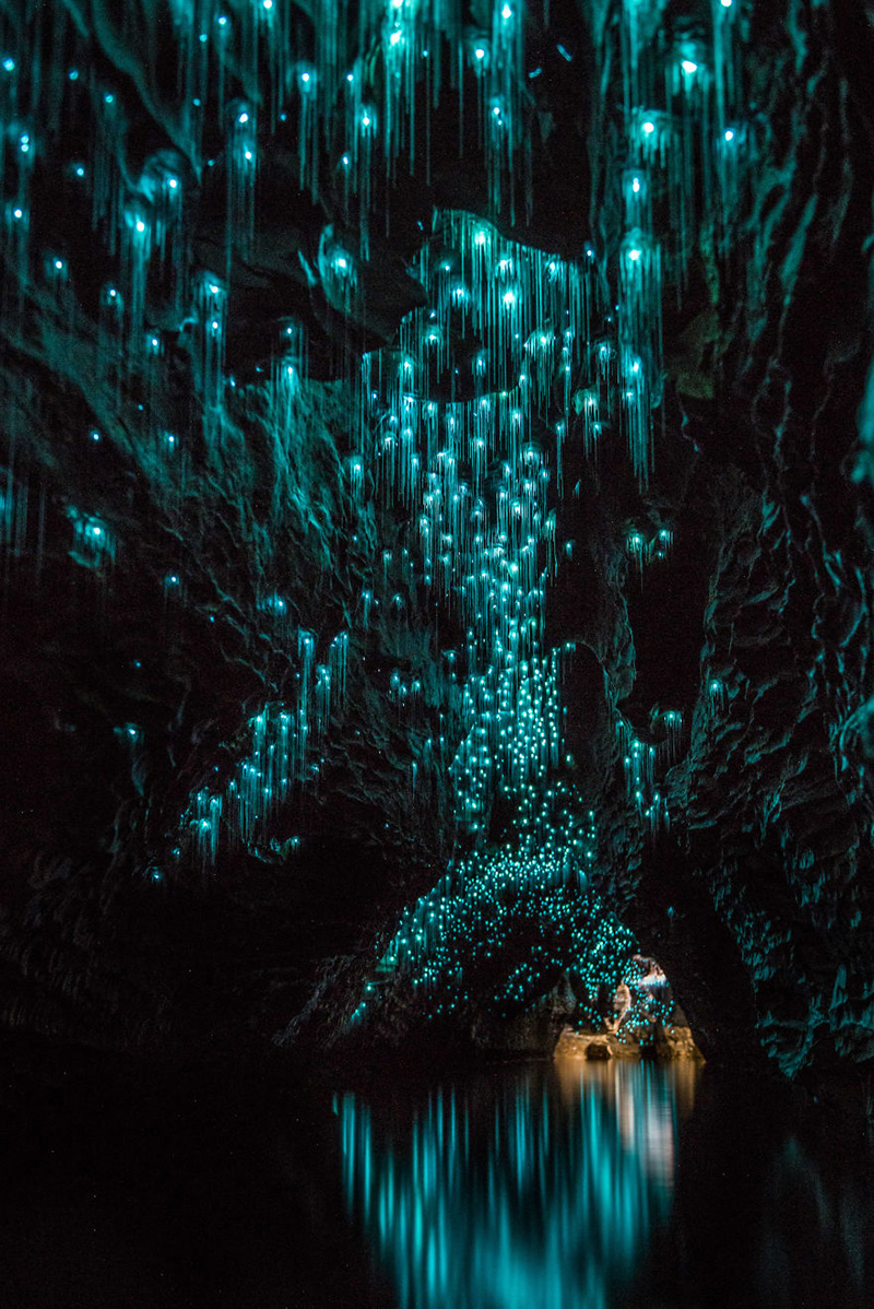 glow worm cave