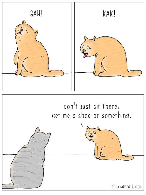 funny comics of animals talking