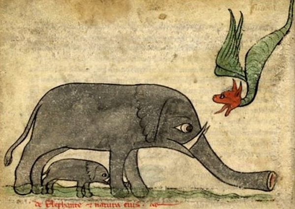 elephant drawings middle ages