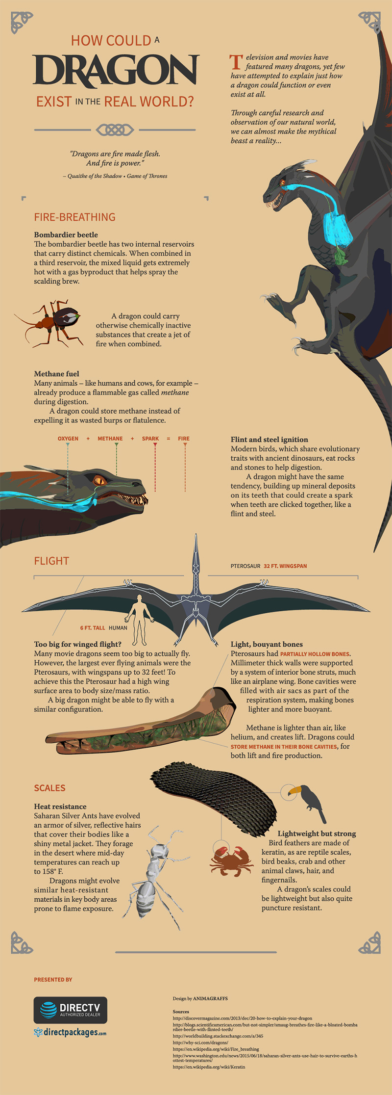 A Complete Breakdown Of How A Dragon Could Exist In The Real World