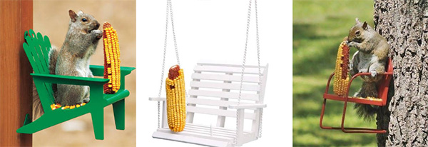 squirrel corn feeder chair tree