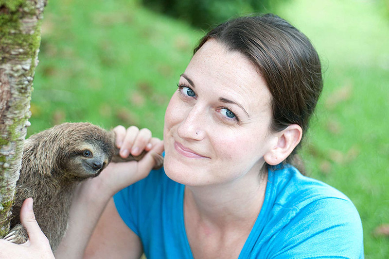 baby sloths