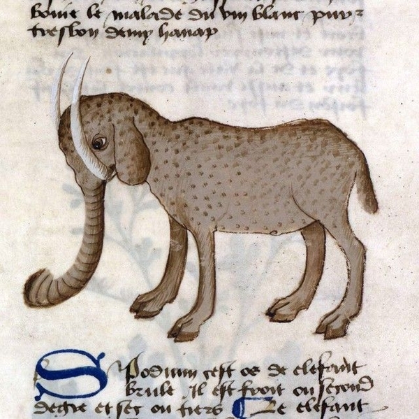 elephant drawings middle ages