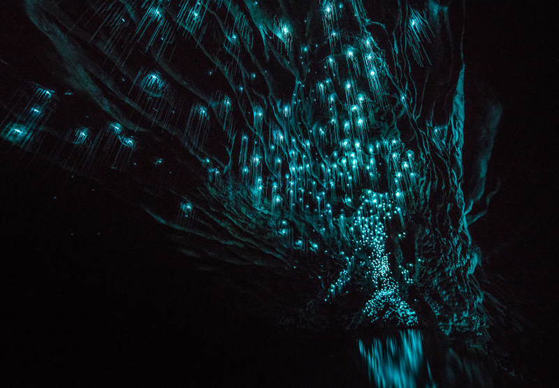 glow worm cave