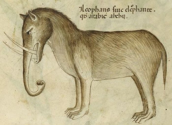 elephant drawings middle ages