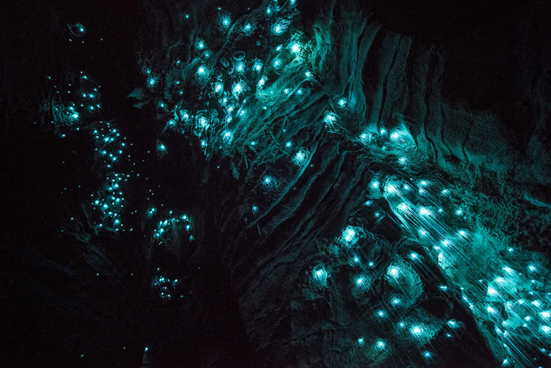 glow worm cave