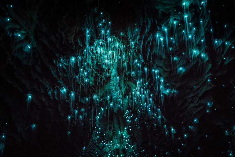 glow worm cave