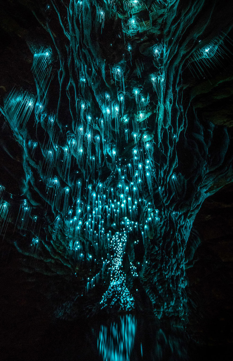 glow worm cave