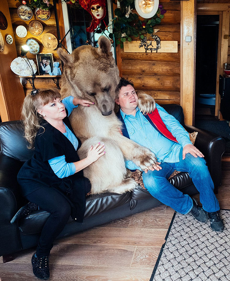 couple adopts bear tea party