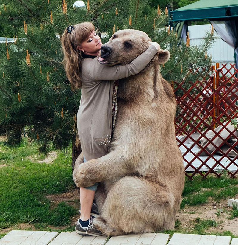 couple adopts bear tea party