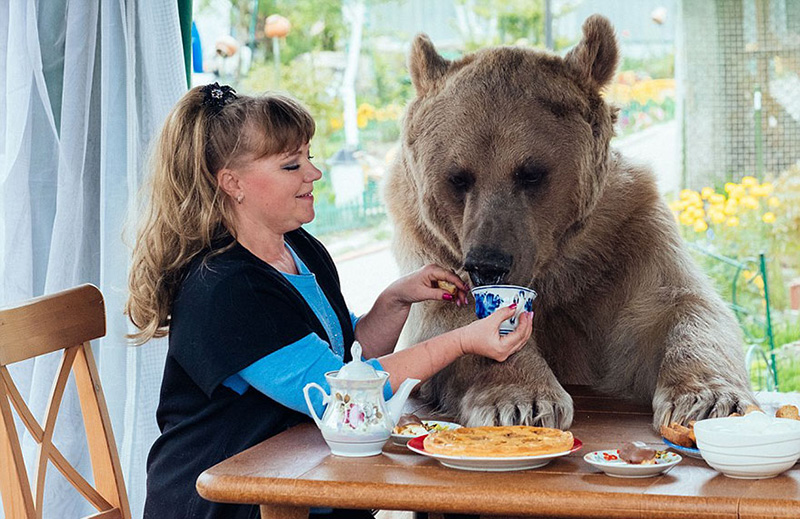 couple adopts bear tea party