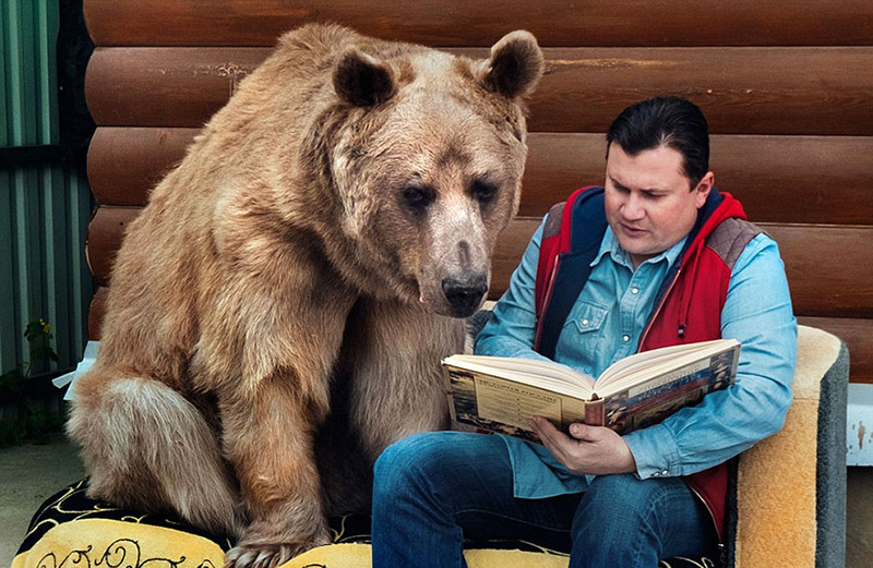 couple adopts bear tea party