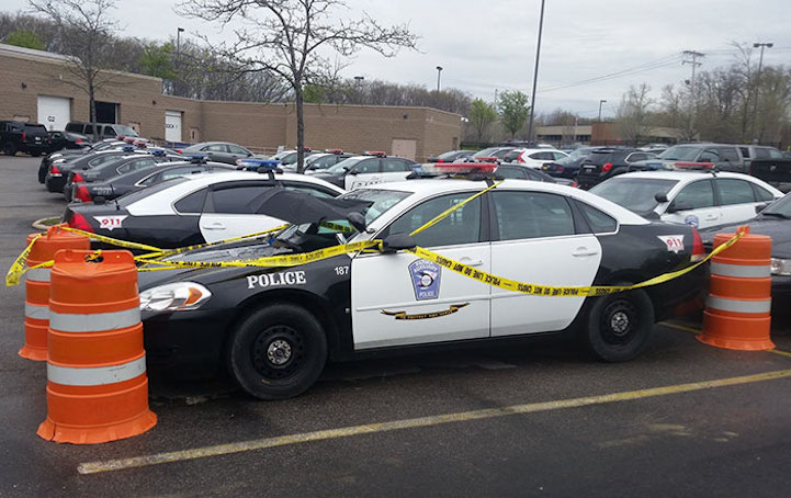 dove cop car