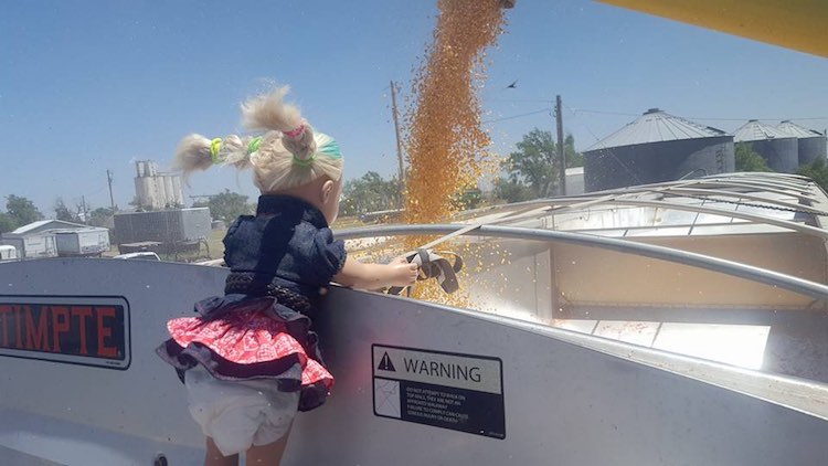 trucker babysits doll