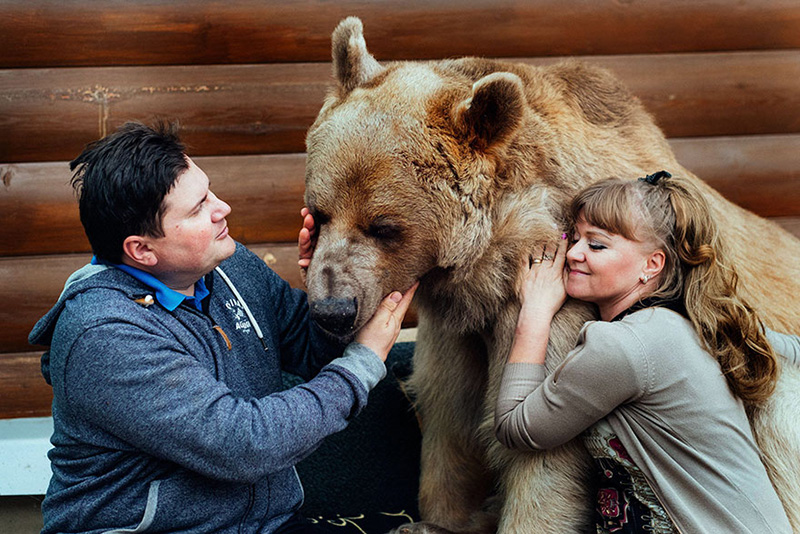 couple adopts bear tea party