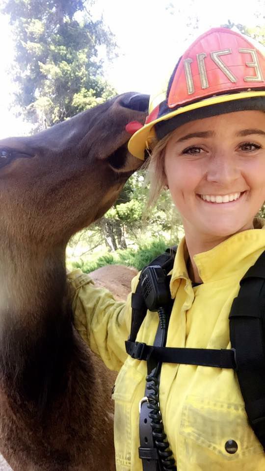 orphaned elk visits firefighters