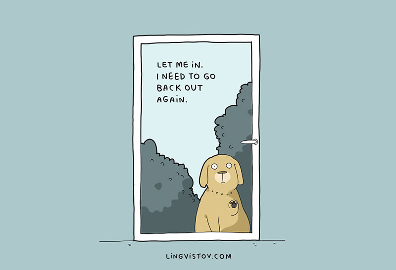 only dog owners will understand