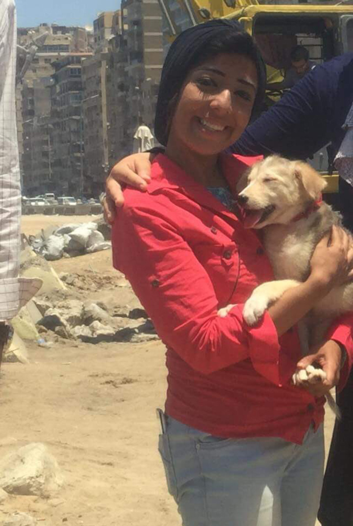 Egyptians spend 5 days rescue trapped dog in rocks