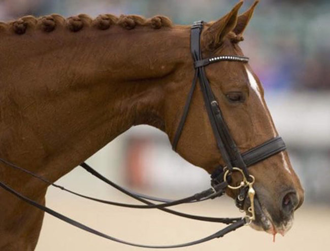 Adelinde Cornelissen quits Olympics to save her horse
