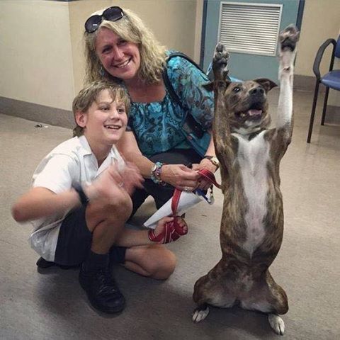 dog happy to be adopted