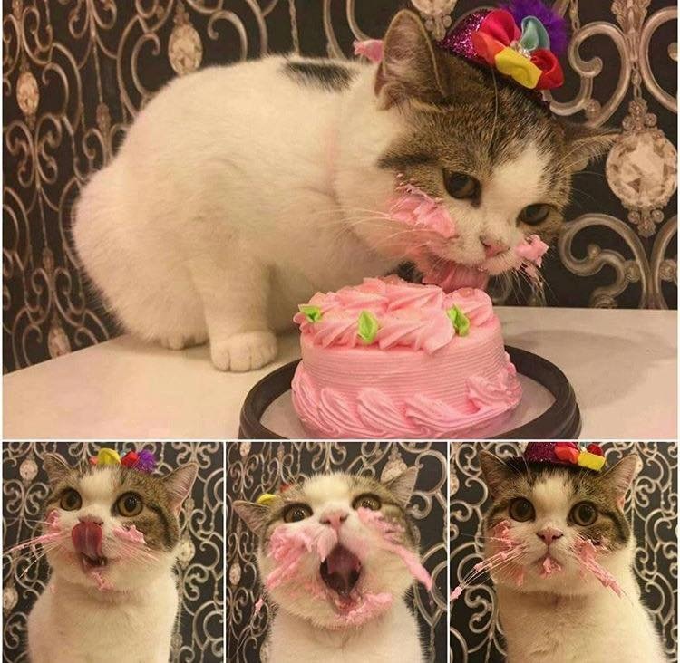 Happy birthday to meeeeeee!