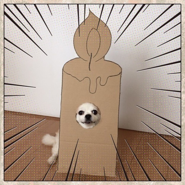 This Woman Makes Cardboard Cutouts For Her Dog