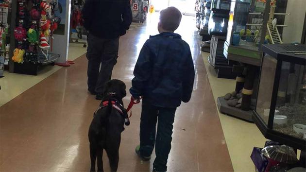 boy diabetes pennies service dog good news