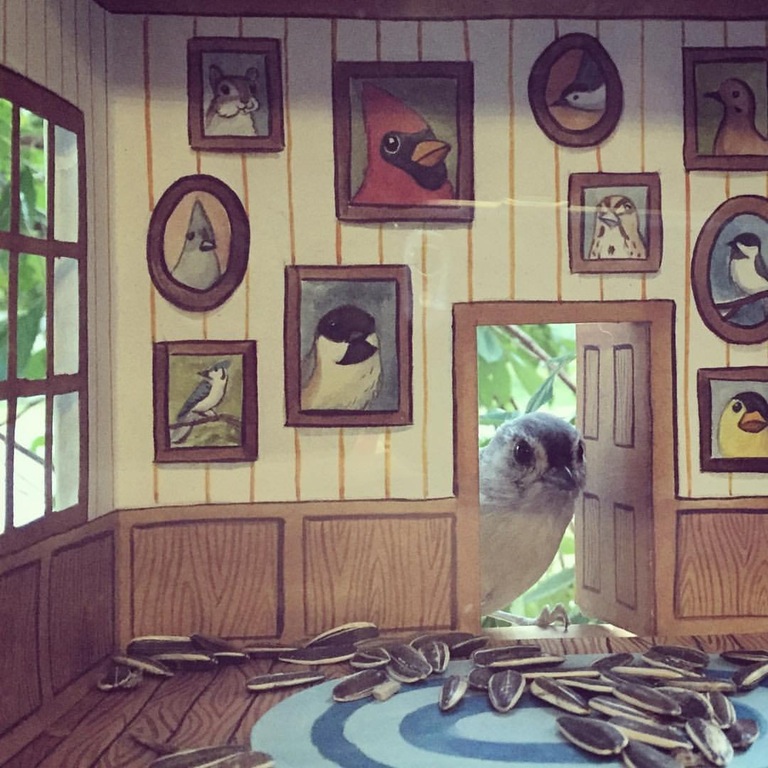 tiny bird house with bird photos